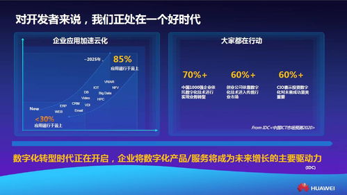 透析微服务与云中间件 华为云深圳站技术精华与服务开发实践